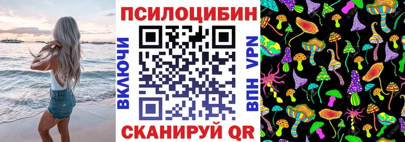 Псилоцибиновые грибы Cubensis  Советский 