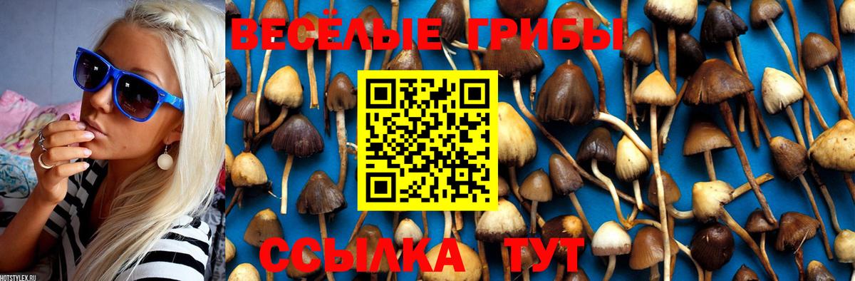 Советский  Псилоцибиновые грибы Psilocybe  Вход с VPN  Псилоцибиновые грибы MAGIC MUSHROOMS 